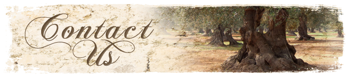 contact-us-image.png