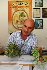 dapadova-padrone.jpg