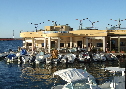 tn-281.jpg